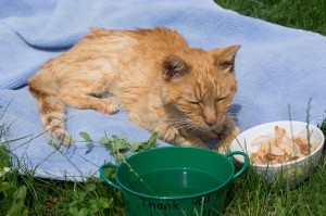 Carlos, on his last sunny day, June 25, 2015