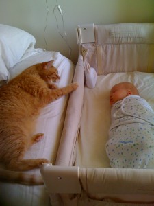 Carlos and newborn Piper, in NYC